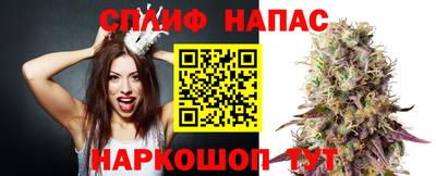 гашик Бугуруслан