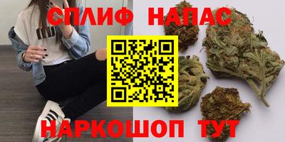 гашик Бугуруслан
