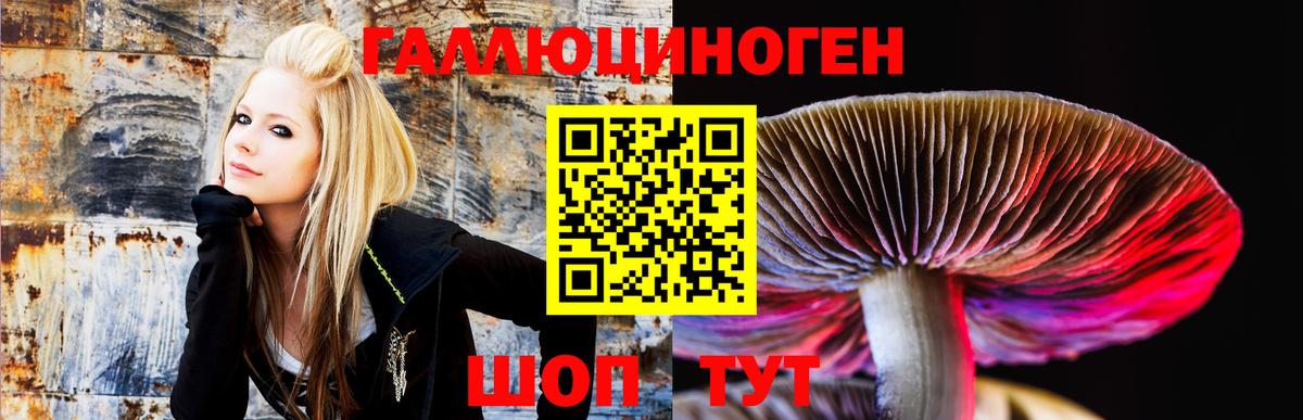 Советск  Галлюциногенные грибы GOLDEN TEACHER  Вход с VPN 