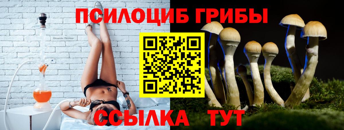 Галлюциногенные грибы Magic Shrooms Советск